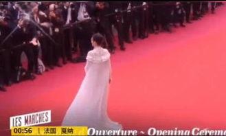 明星红毯待遇对比,明星待遇大揭秘，待遇差异背后的真相