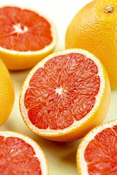 西柚 网红,网络新宠，时尚潮流的引领者