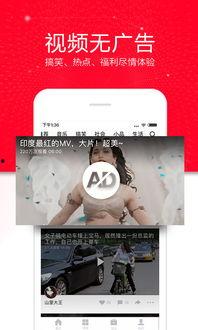 能不能找回头条视频,揭秘内容重生的秘密