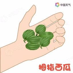 瓜瓜带你吃瓜的bgm,尽享舌尖上的快乐之旅