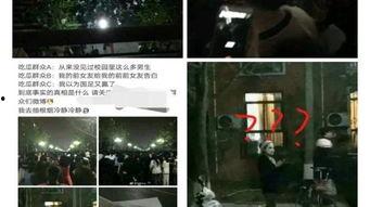 校园吃瓜群众表白视频,吃瓜群众表白视频，浪漫瞬间引网友热议