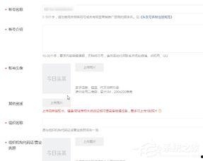 头条号认证方,揭秘自媒体时代内容创作者的绿色通道