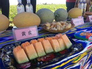 去吐鲁番去哪里吃瓜